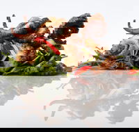 Father's Day at The Lagoon - Tourism Cairns