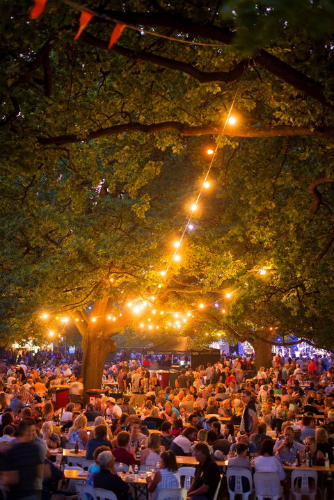 Festivale - Tourism Cairns 0