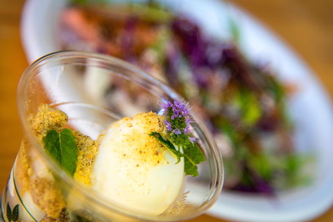 Festivale - Tourism Cairns 2