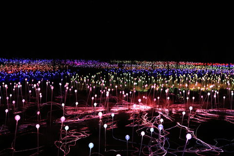 Field Of Light Uluru - Tourism Cairns 2