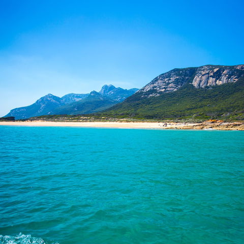Flinders Island Lions Club Fishing Competition - Tourism Cairns 1
