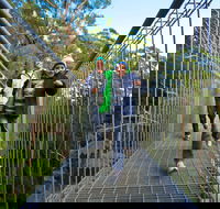 Get Back to Nature these July School Holidays - Tourism Cairns