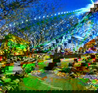 Green Jam - Tourism Cairns