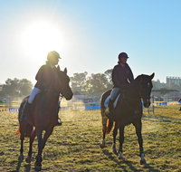 Gunnedah Showjumping Festival - Tourism Cairns