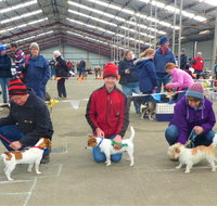 Hamilton Jack Russell Terrier and Hunting Dog Show - Tourism Cairns