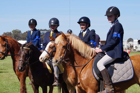 Hay Agricultural Show - Tourism Cairns 0