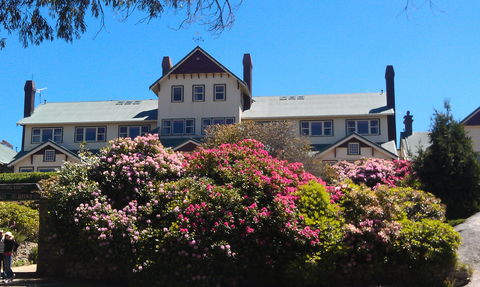 Hedonistic Hiking's Mount Buffalo Hike And Picnic - Tourism Cairns 1