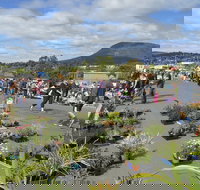 Hobart Showground Sunday Market - Weekly - Tourism Cairns
