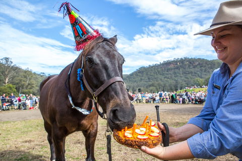 Horses Birthday Festival - Tourism Cairns 0