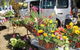 Johns River Country Markets - thumb 0