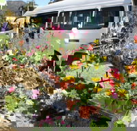 Johns River Country Markets - Tourism Cairns