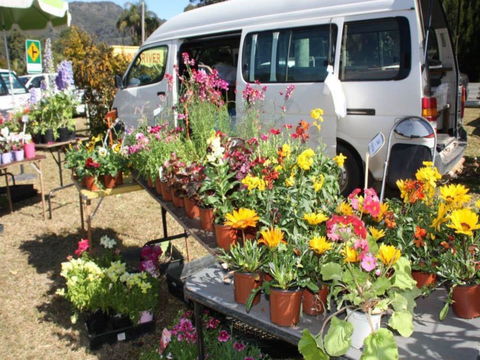 Johns River Country Markets - Tourism Cairns 0