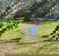 July 2020 Holidays- Forest Adventures Treasure Hunt - Tourism Cairns
