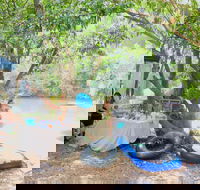 Jungle Love Festival - Tourism Cairns