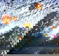 Lanterns on the Lagoon - Tourism Cairns