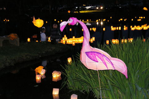Lanterns On The Lagoon - Tourism Cairns 1