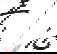 Learn Japanese calligraphy - Tourism Cairns