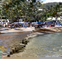Lions Airlie Beach Community Markets - Tourism Cairns
