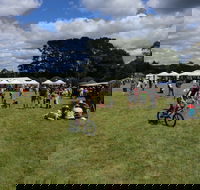Majors Creek Festival - Tourism Cairns