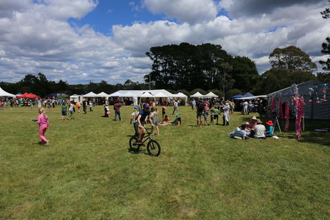 Majors Creek Festival - Tourism Cairns 0