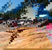 Maleny Wood Expo From Seed to Fine Furniture - Tourism Cairns