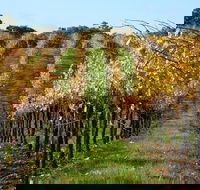Miners Ridge Wine Tasting - Tourism Cairns