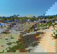 Moruya Country Market - Tourism Cairns