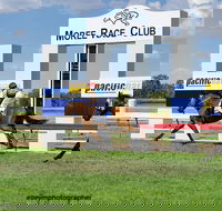 Moree Race Club TAB Race Day - Tourism Cairns