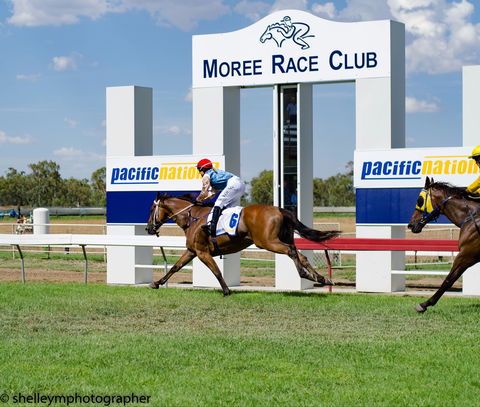Moree Race Club TAB Race Day - Tourism Cairns 0