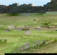 Mount Gambier and District Pony Club Horse Trials 2020 - Tourism Cairns