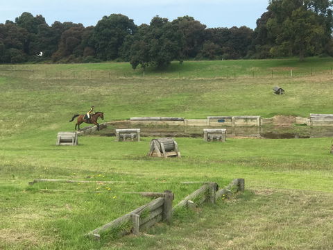 Mount Gambier And District Pony Club Horse Trials 2020 - Tourism Cairns 0