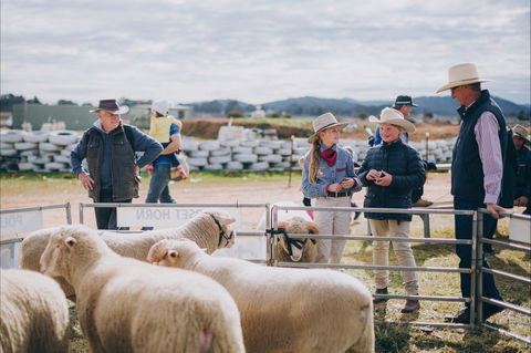 Mudgee Small Farm Field Days - Tourism Cairns 0