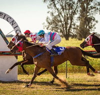 Mungery Picnic Races - Tourism Cairns