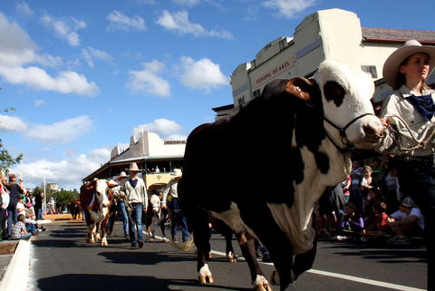 NCMC Casino Beef Week - Tourism Cairns 1