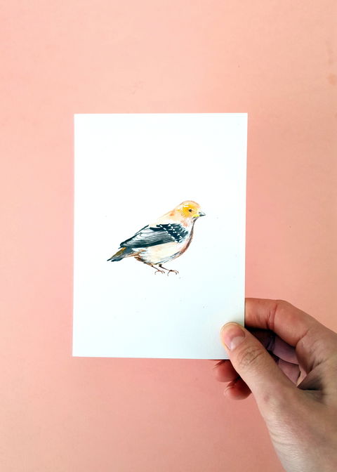 NW Niche Christmas Market In Burnie - Tourism Cairns 1