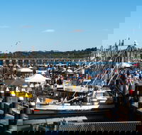 Ocean Harvest Festival - Tourism Cairns