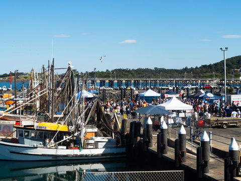 Ocean Harvest Festival - Tourism Cairns 0