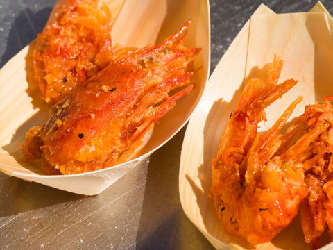 Ocean Harvest Festival - Tourism Cairns 1