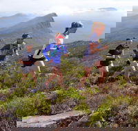 Peaks and Trails Run - Tourism Cairns