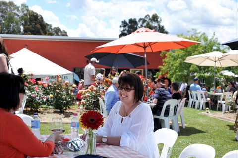 Pizzini Wines Gnocchi Carnevale - Tourism Cairns 2