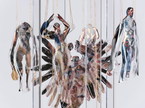 Pulse Perspectives - Virtual Exhibition - Tourism Cairns 0