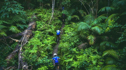 Reef To Reef - Tourism Cairns 7
