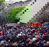 Rektango - Tourism Cairns