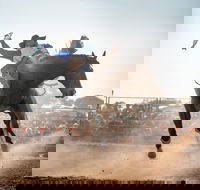 Rodeo by the Sea - Streaky Bay - Tourism Cairns