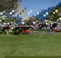 Sakura Matsuri  - Cherry Blossom Festival - in doubt due to Covid-19 - Tourism Cairns
