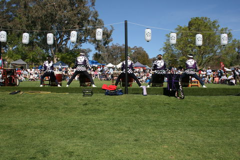 Sakura Matsuri  - Cherry Blossom Festival - In Doubt Due To Covid-19 - Tourism Cairns 0