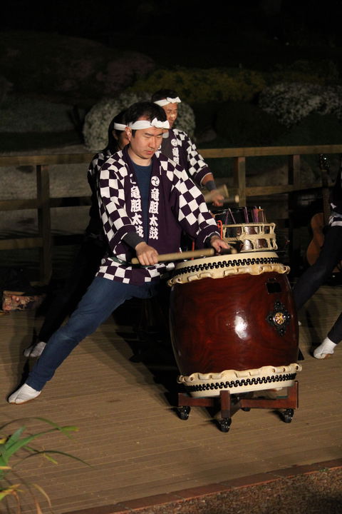 Sakura Matsuri  - Cherry Blossom Festival - In Doubt Due To Covid-19 - Tourism Cairns 1