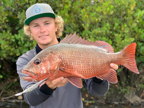 SCF Research And Sustainability Competition - Tourism Cairns 0