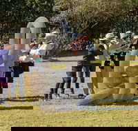 Sculpture for Clyde - Outdoor Exhibition - Tourism Cairns