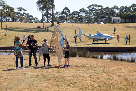 Sculpture For Clyde - Outdoor Exhibition - Tourism Cairns 2